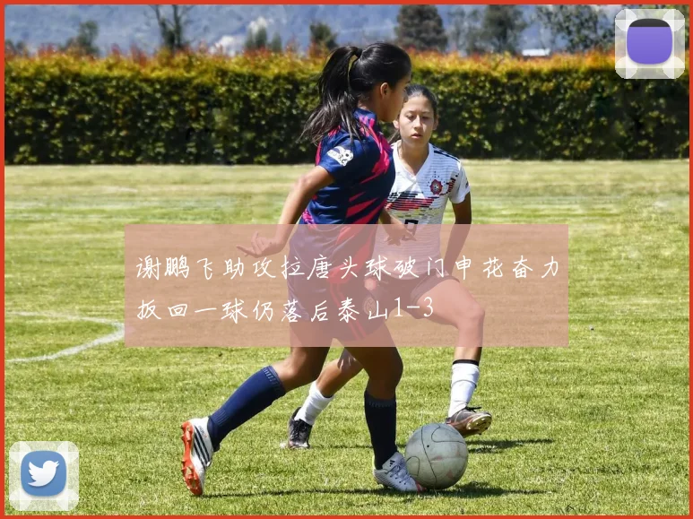 谢鹏飞助攻拉唐头球破门申花奋力扳回一球仍落后泰山1-3